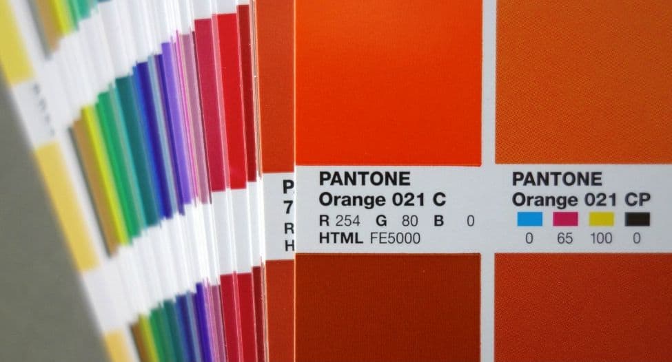 pantone close up