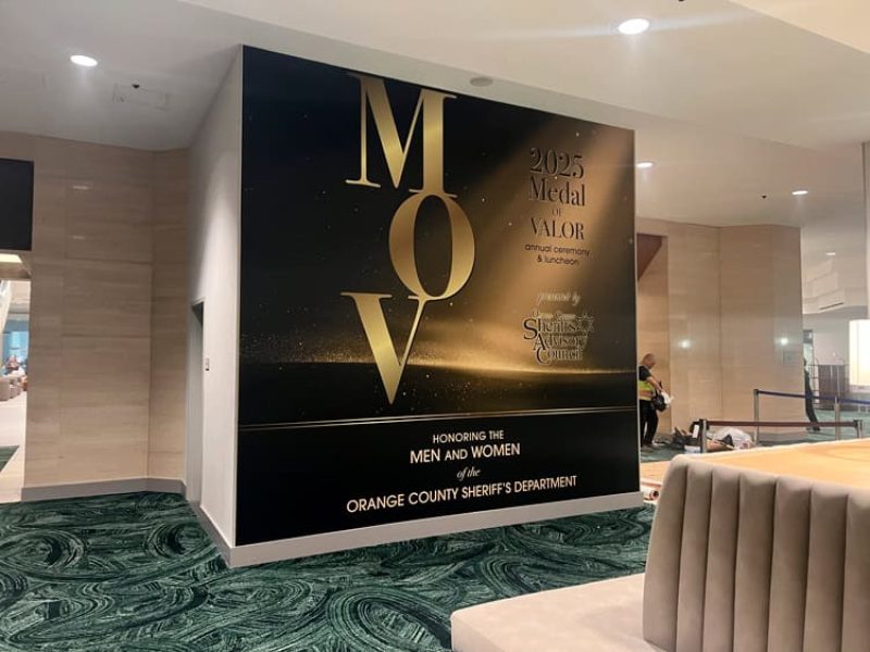MOV Wall Graphic
